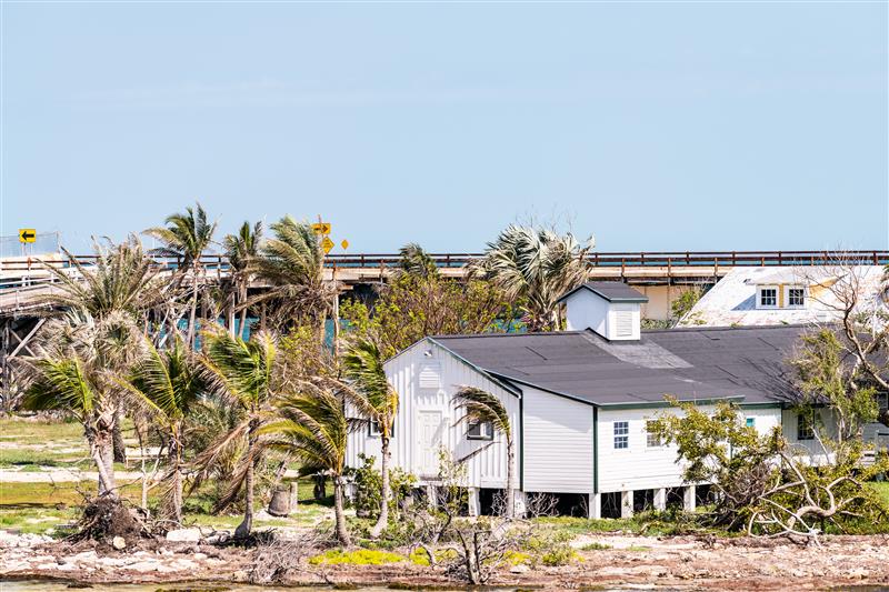 a white home and palm trees bending in the wind.